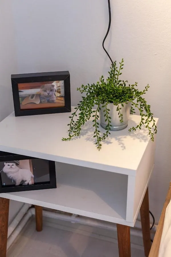 Feel The Breeze Of Bosphorus Apartment Istanbul